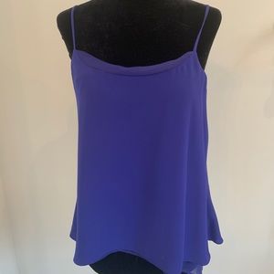 Blue Thin Blouse